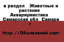  в раздел : Животные и растения » Аквариумистика . Самарская обл.,Самара г.